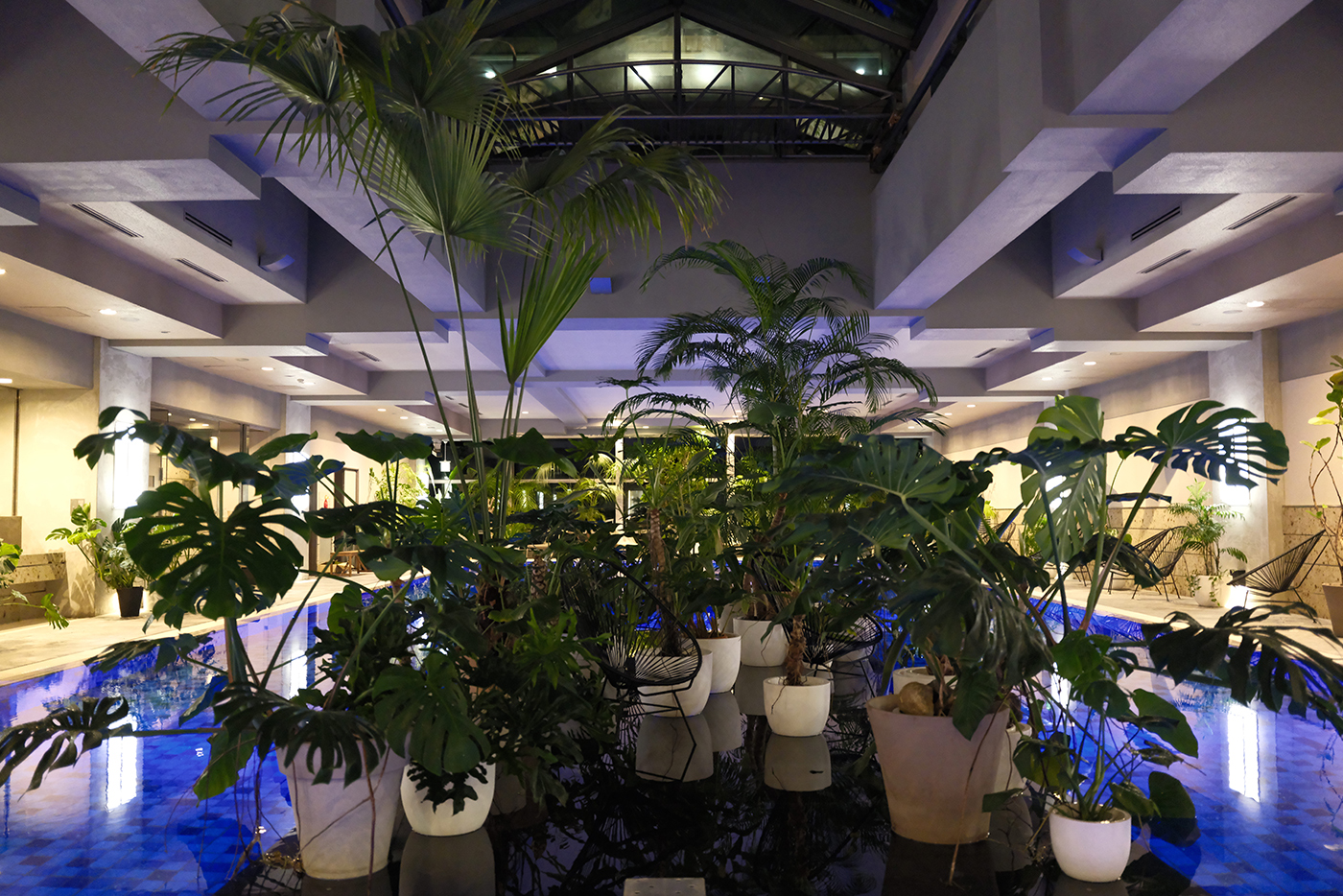 26Fととのい小島