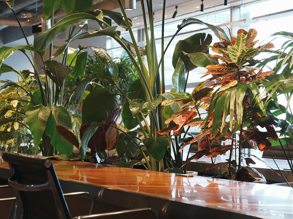 コワーキングエリア